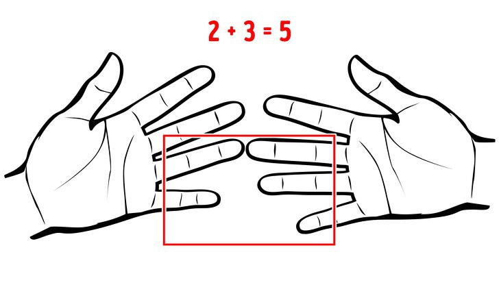 8 sự thật thú vị về cuộc sống khiến ai cũng ngỡ ngàng, số 6 biết rồi giơ tay làm thử luôn - Ảnh 7. 8 sự thật thú vị về cuộc sống khiến ai cũng ngỡ ngàng, số 6 biết rồi giơ tay làm thử luôn - Ảnh 7.