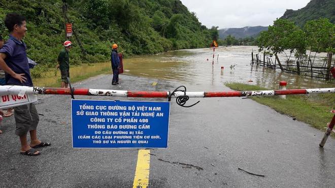 Mưa lũ làm quốc lộ ngập sâu, lợn treo trên cao, gà nhảy lên cây trốn lũ ở Nghệ An - Ảnh 7.