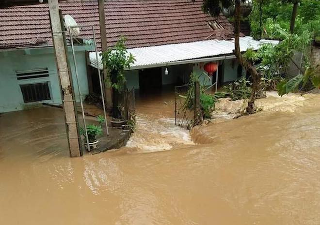 Mưa lũ làm quốc lộ ngập sâu, lợn treo trên cao, gà nhảy lên cây trốn lũ ở Nghệ An - Ảnh 1.