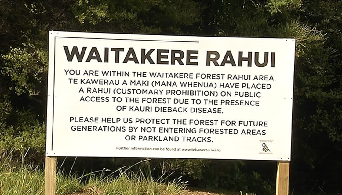 Người New Zealand có một phong tục cực hay và ý nghĩa để bảo vệ thiên nhiên - Ảnh 2. Người New Zealand có một phong tục cực hay và ý nghĩa để bảo vệ thiên nhiên - Ảnh 2.