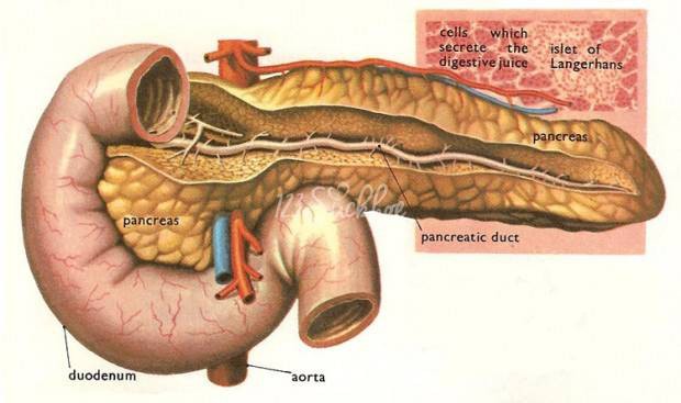 BS nói về bệnh viêm tuỵ khiến nam thanh niên tử vong: Ít có bệnh nào chết nhanh như vậy! - Ảnh 2.