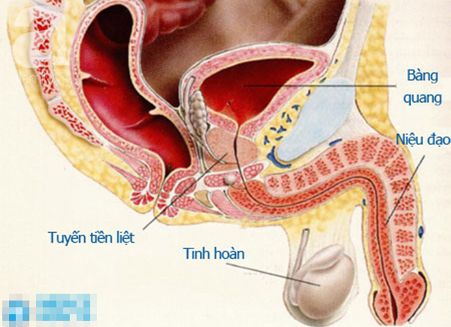 “Tự sướng” quá đà: 2 thanh niên lĩnh hậu quả ngay trước ngày cưới và bác sỹ điều trị cũng phải “bó tay” - Ảnh 3. “Tự sướng” quá đà: 2 thanh niên lĩnh hậu quả ngay trước ngày cưới và bác sỹ điều trị cũng phải “bó tay” - Ảnh 3.