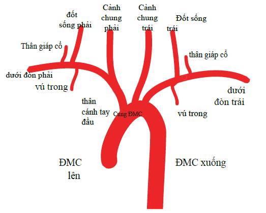 GS tim mạch: Hãy cẩn thận với căn bệnh có tỷ lệ tử vong lên tới 50% chỉ trong vòng 48 giờ - Ảnh 2.