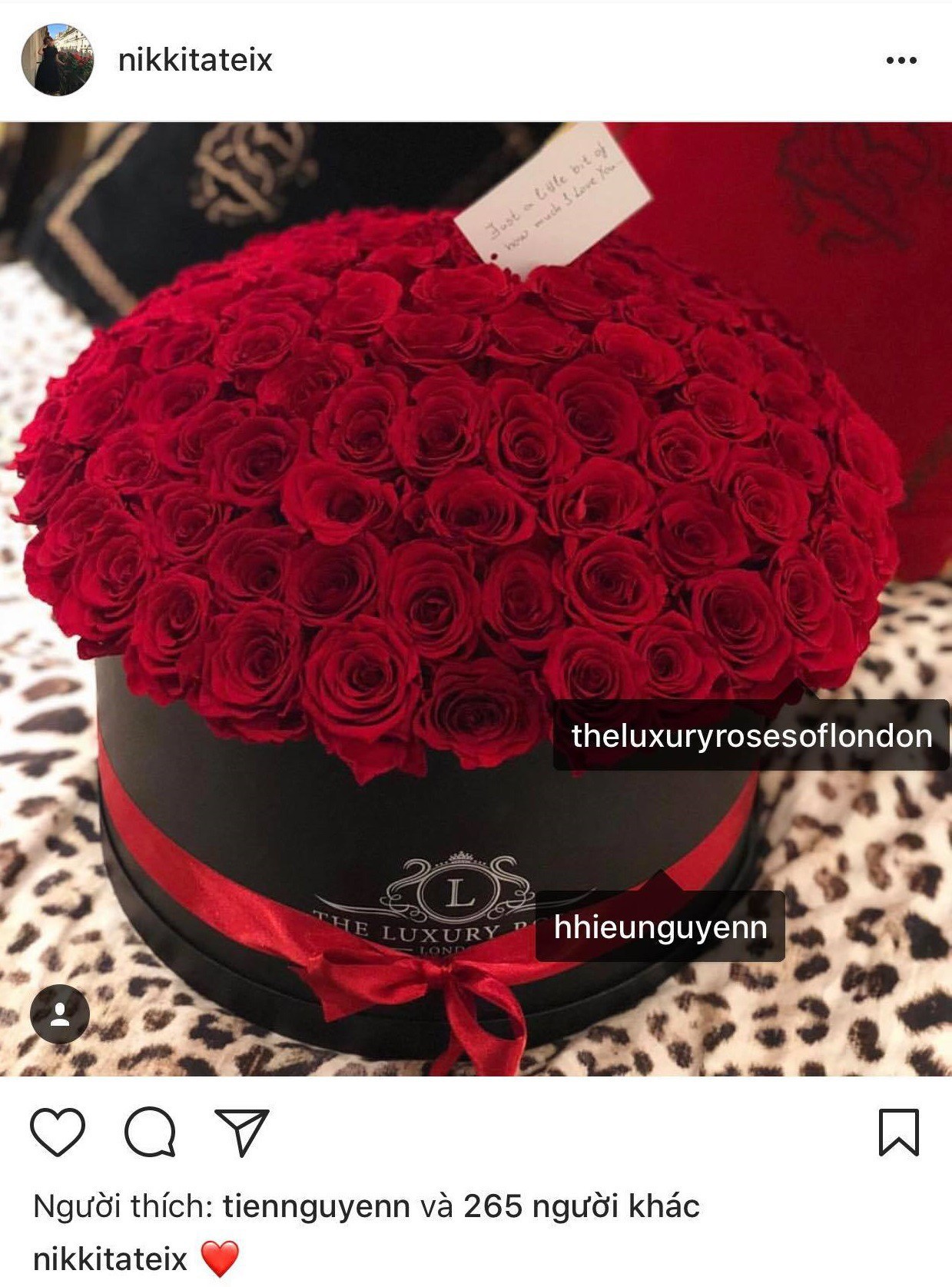Cô gái Tây bất ngờ xoá ảnh và bỏ follow thiếu gia em chồng Hà Tăng trên Instagram, rộ nghi án đã chia tay - Ảnh 3. Cô gái Tây bất ngờ xoá ảnh và bỏ follow thiếu gia em chồng Hà Tăng trên Instagram, rộ nghi án đã chia tay - Ảnh 3.
