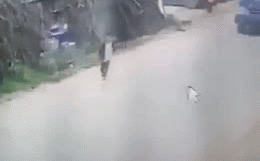 Lao sang đường, cậu bé bị xe khách đâm và điều kỳ diệu xảy ra ở 5 giây cuối (+video) 2w439w-1552657321986940605297-crop-155265742538296155247