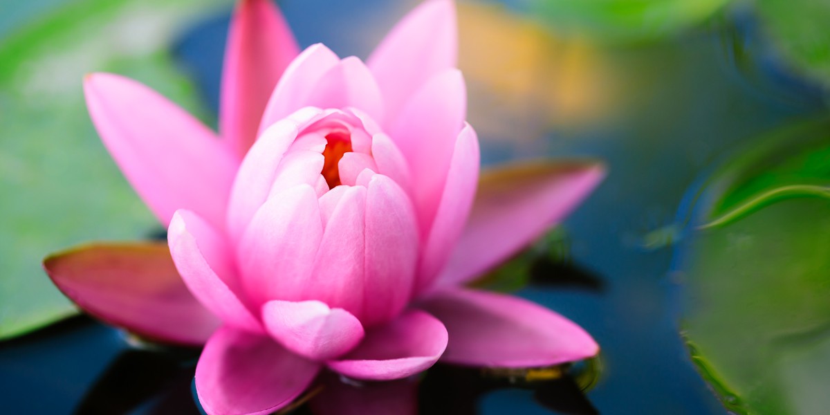 Thấy nhện độc, người đàn ông định cầm dao đâm rồi đổi ý và kinh ngạc phát hiện thứ dưới áo - Ảnh 3. Thấy nhện độc, người đàn ông định cầm dao đâm rồi đổi ý và kinh ngạc phát hiện thứ dưới áo - Ảnh 3.