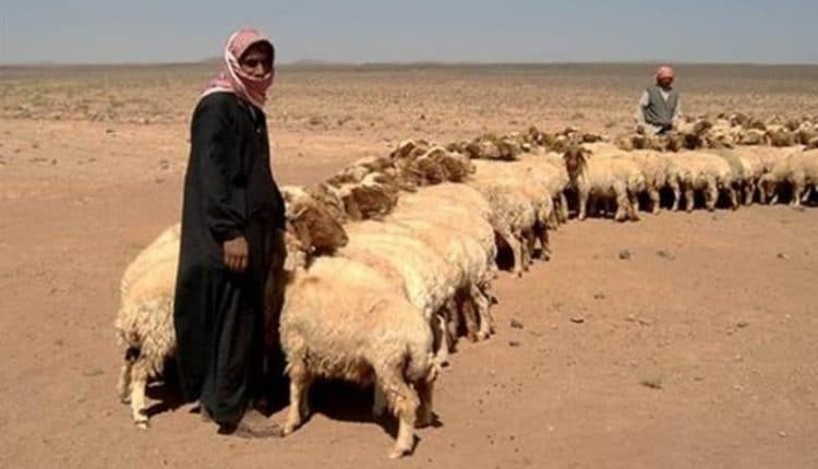 Đối đầu Iran và Mỹ: Chiến trường al-Anbar, Iraq và ván bài lật ngửa - Ảnh 1. Đối đầu Iran và Mỹ: Chiến trường al-Anbar, Iraq và ván bài lật ngửa - Ảnh 1.