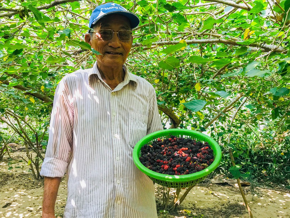 Mục sở thị “thủ phủ” dâu tằm nơi phố Hội - Ảnh 5.