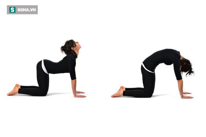 8 bài tập chữa đau lưng hiệu quả nhanh: Ai tập đều đặn sẽ không còn lo bệnh tật làm phiền - Ảnh 2. 8 bài tập chữa đau lưng hiệu quả nhanh: Ai tập đều đặn sẽ không còn lo bệnh tật làm phiền - Ảnh 2.