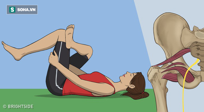 8 bài tập chữa đau lưng hiệu quả nhanh: Ai tập đều đặn sẽ không còn lo bệnh tật làm phiền - Ảnh 10. 8 bài tập chữa đau lưng hiệu quả nhanh: Ai tập đều đặn sẽ không còn lo bệnh tật làm phiền - Ảnh 10.