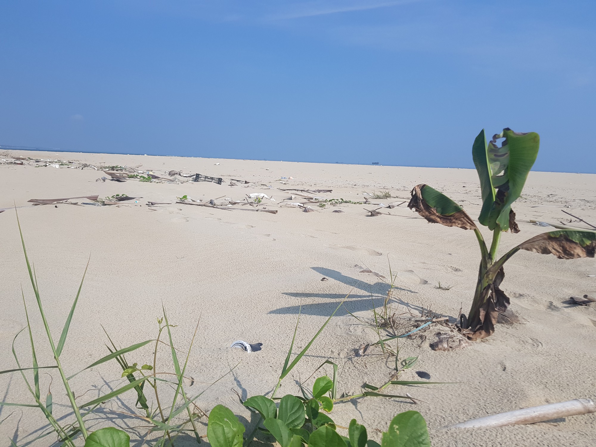 Cận cảnh hòn đảo lạ mới xuất hiện ngoài biển khiến chính quyền Quảng Nam lúng túng - Ảnh 4. Cận cảnh hòn đảo lạ mới xuất hiện ngoài biển khiến chính quyền Quảng Nam lúng túng - Ảnh 4.