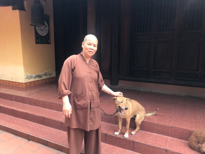 Nhà sư ở Hà Nội phủ nhận bạo hành các cháu bé được nuôi trong chùa - Ảnh 1. Nhà sư ở Hà Nội phủ nhận bạo hành các cháu bé được nuôi trong chùa - Ảnh 1.