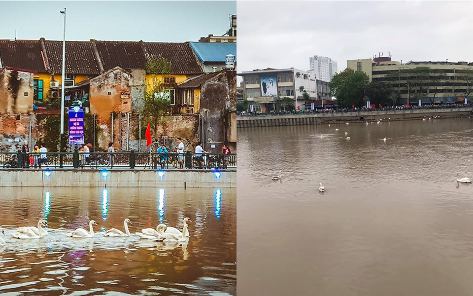 “Bờ sông thiên nga” Tam Bạc Hải Phòng khiến cư dân mạng ngã ngửa vì ảnh trên mạng với ngoài đời quá khác nhau - Ảnh 18. “Bờ sông thiên nga” Tam Bạc Hải Phòng khiến cư dân mạng ngã ngửa vì ảnh trên mạng với ngoài đời quá khác nhau - Ảnh 18.