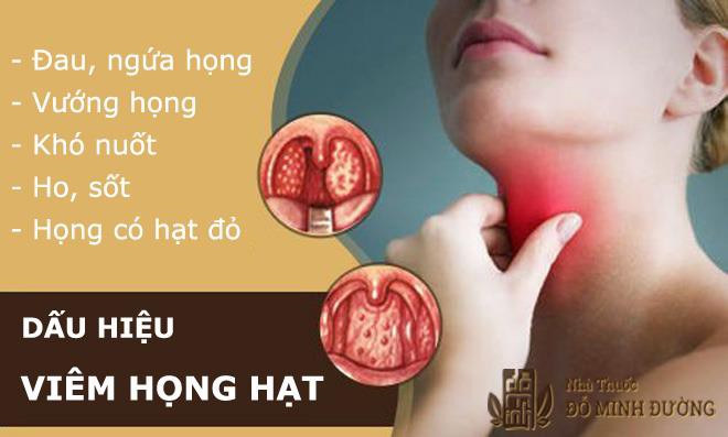 Bệnh viêm họng hạt là gì? Triệu chứng, cách chữa trị không cần đốt hạt - Ảnh 2.