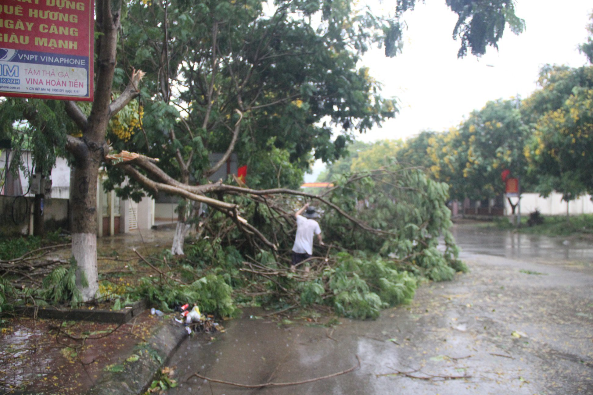 Mưa đá, gió lốc càn quét Nghệ An, Hà Tĩnh khiến nhiều nhà hư hỏng, cây đổ hàng loạt - Ảnh 1.