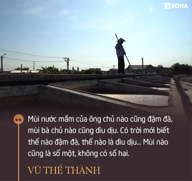 Chuyên gia Vũ Thế Thành kể chuyện mùi nước mắm - Ảnh 4.