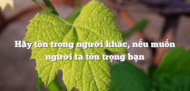 Khinh bỉ người đàn ông hỏi đường nhưng chỉ sau vài câu nói, người quân nhân phải hốt hoảng quỳ lạy đối phương - Ảnh 4.