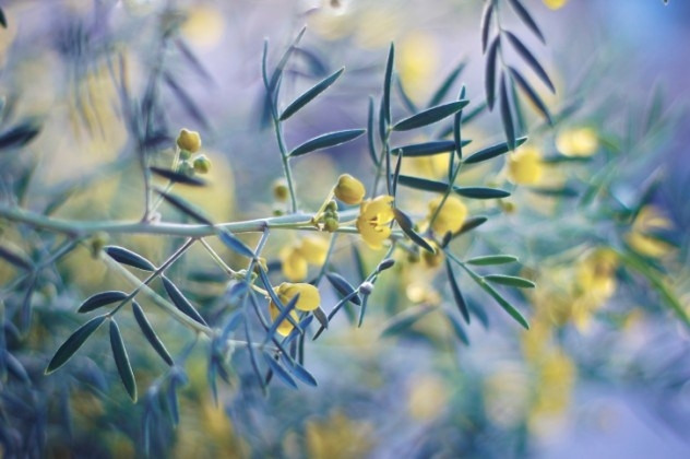 Những vụ án được phá chỉ bằng một chứng cứ nhỏ xíu