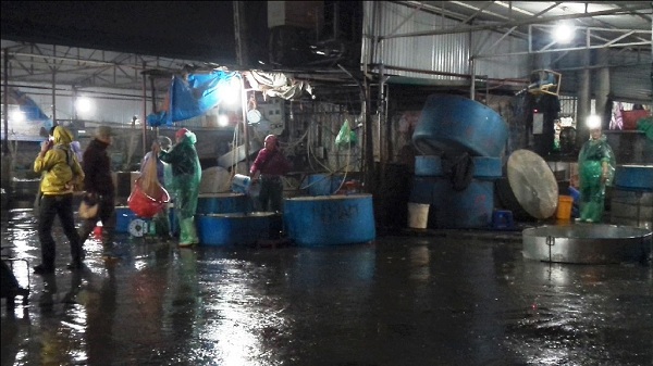 Cuộc sống về đêm của các tiểu thương ở chợ cá Yên Sở. Hòa mình vào chợ, họ không lúc nào được áo quần bảnh bao
