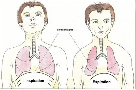 Bài tập thở để đời giúp sống thọ và sống khỏe ai cũng nên biết