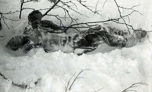 
Một xác chết bị vùi trong tuyết lạnh
