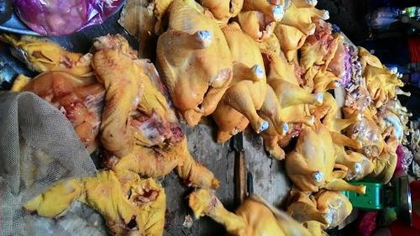 
Ăn gà chứa chất vàng ô có thể gây ung thư
