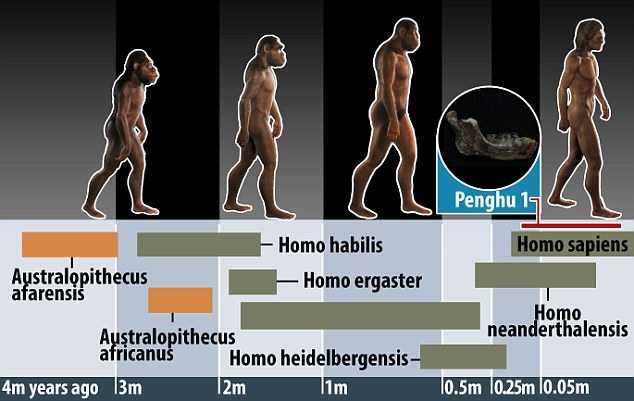 Phần hàm dưới khác biệt rõ ràng so với người Homo erectus ở miền bắc Trung Quốc và Java. Nó có thể là đặc điểm đại diện cho một chủng người chưa được biết đến, CNN dẫn lời chuyên gia Yousuke Kaifu nói, khẳng định dù đây chỉ là một mẩu hóa thạch nhỏ, nhưng ý nghĩa của nó rất lớn.