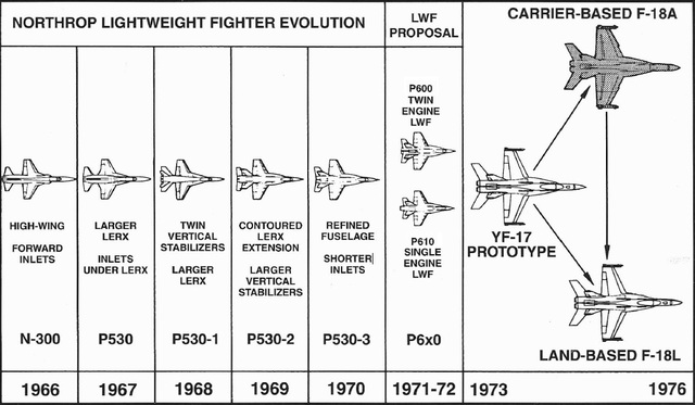 Dự án N-300 đánh dấu sự khởi đầu của những gì chúng ta biết ngày nay là F-18. Bắt đầu vào năm 1965 như một dự án của Northrop, chiếc máy bay đã phát triển thành máy bay đa nhiệm vụ P530 Cobra và sau đó được biến đổi thành một máy bay tiêm kích thực hiện 1 nhiệm vụ không chiến duy nhất để cạnh tranh trong chương trình LWF. Sự thay đổi này đã cho ra đời nguyên mẫu YF-17.