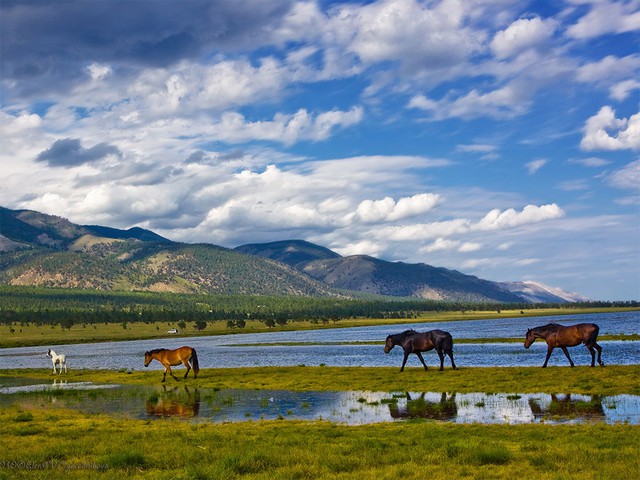 
Yếu tố phong thủy của hồ Bối Gia Nhĩ đã giúp dân tộc Mông Cổ có được số mệnh phi phàm.
