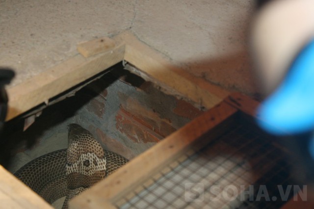 Image result for lang ran le mat