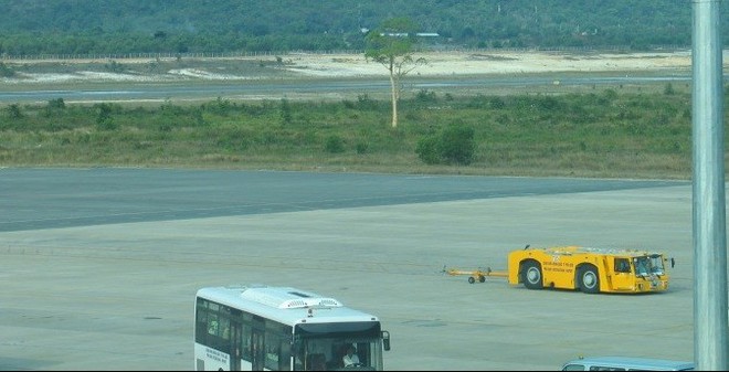 Huyền bí ‘cây ma’ bị cô gái trẻ nhập hồn ở sân bay Phú Quốc