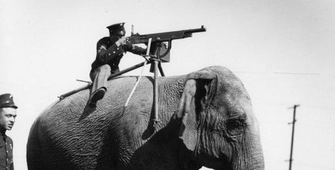 Những ảnh lạ lùng trong Chiến tranh Thế giới thứ nhất