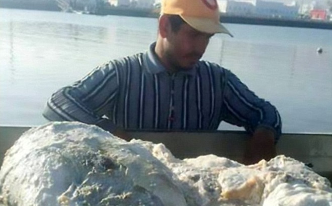 Quăng lưới đánh cá, người ngư dân may mắn vớ được "báu vật" nặng 60kg, trị giá 57 tỉ đồng Quăng lưới đánh cá, người ngư dân may mắn vớ được "báu vật" nặng 60kg, trị giá 57 tỉ đồng