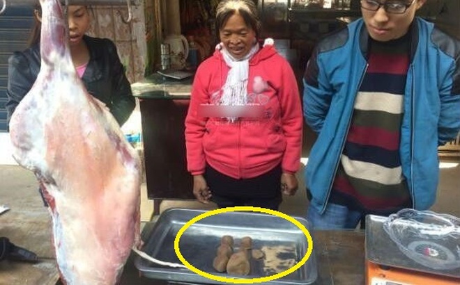 Mổ dê làm thịt, một gia đình không ngờ vớ được "kho báu" tiền tỉ Mổ dê làm thịt, một gia đình không ngờ vớ được "kho báu" tiền tỉ