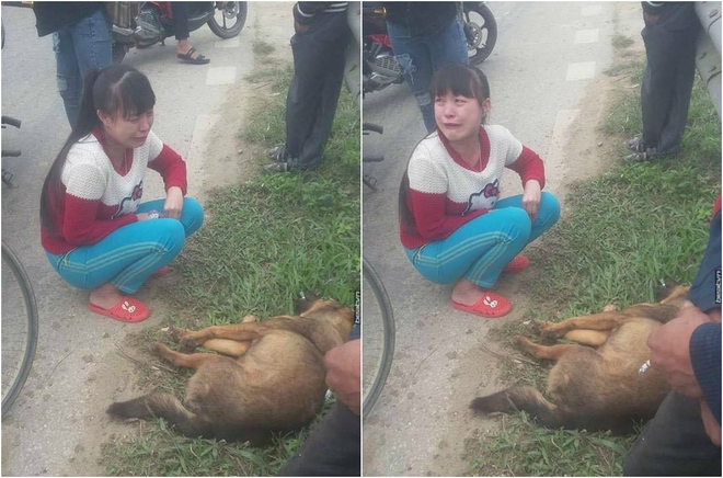 Cô bé khóc nức nở bên cạnh chú chó bị tai nạn ngày cuối năm gây bão mạng - Ảnh 1.