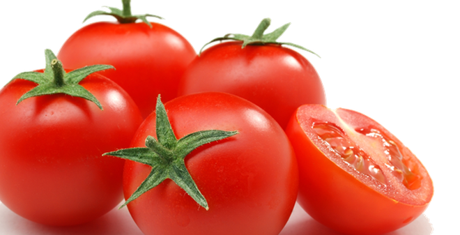 Kết quả hình ảnh cho cà chua