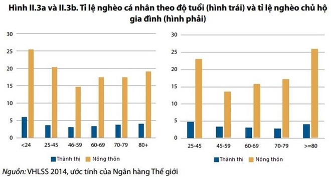 Người Việt Nam chưa giàu đã già? - Ảnh 2.