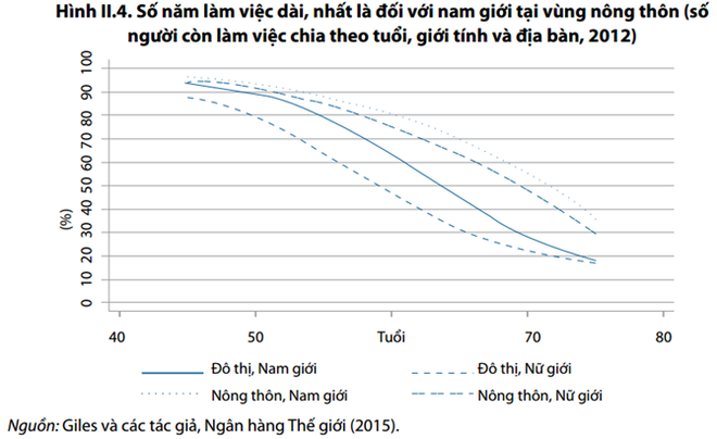 Người Việt Nam chưa giàu đã già? - Ảnh 3.