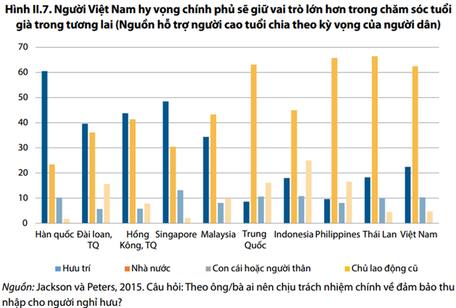 Người Việt Nam chưa giàu đã già? - Ảnh 5.