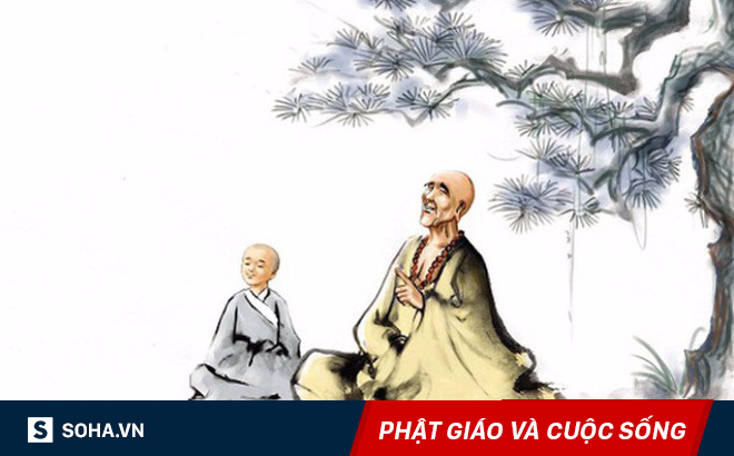 Làm hỏng chậu lan, chú tiểu sợ bị mắng nhưng sư thầy chỉ nói 1 câu, ai cũng nên nghe!