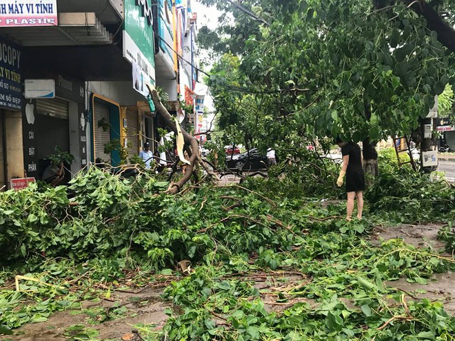 TIN TỐT LÀNH ngày 17/7: Bí thư tỉnh đình chỉ mọi cuộc họp để toàn tâm ứng phó với bão - Ảnh 1.