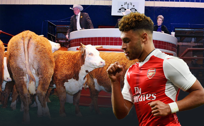 Oxlade-Chamberlain đến Liverpool: Trọng lượng con bò và trí tuệ đám đông