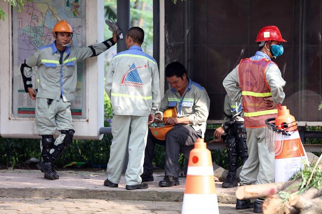 130 cây xanh lâu năm tại Kim Mã trước giờ di dời - Ảnh 12.