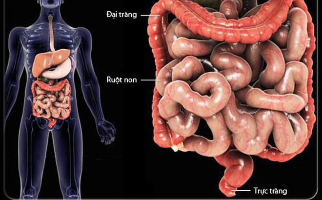 Một ngày không làm việc này bằng hút 3 bao thuốc lá, 90% bệnh tật đều từ đây mà ra