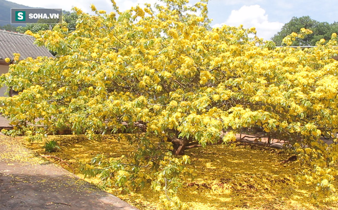 [Image: http-sohanews-sohacdn-com-thumb-w-660-20...865146.png]