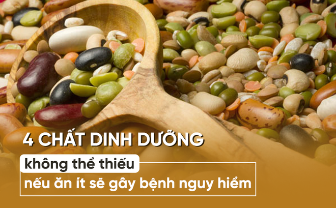 Ăn uống có thể theo nhu cầu, nhưng tuyệt đối đừng để thiếu 4 chất dinh dưỡng này