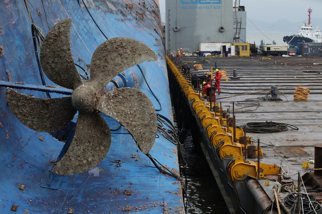 Cận cảnh phà Sewol sau 3 năm chìm sâu ở đáy biển - Ảnh 8. Cận cảnh phà Sewol sau 3 năm chìm sâu ở đáy biển - Ảnh 8.