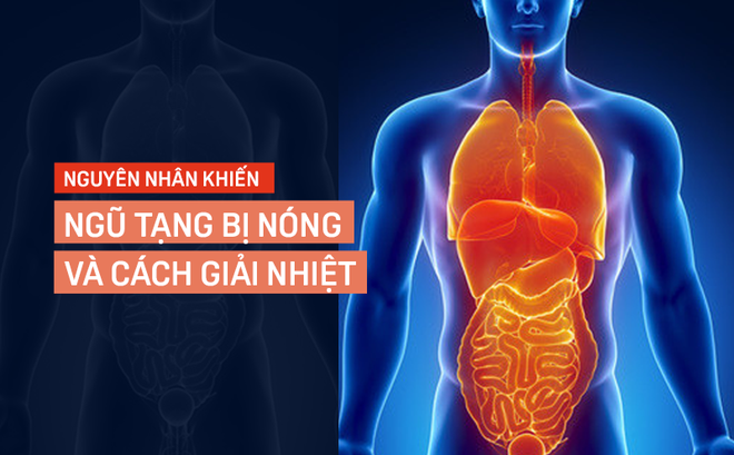 5 chuyên gia lý giải tình trạng ngũ tạng bị nóng và cách khắc phục đơn giản bằng thực phẩm