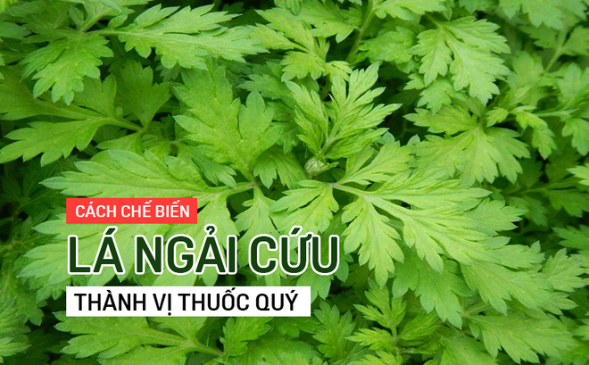 chua-benh-phu-khoa-bang-ngai-cuu-1