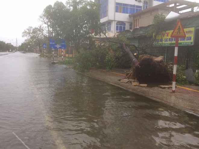 7 người thương vong ở Quảng Bình, 2 tàu chìm ở Quảng Ninh, Nghệ An - Hà Tĩnh tan hoang sau bão - Ảnh 4.